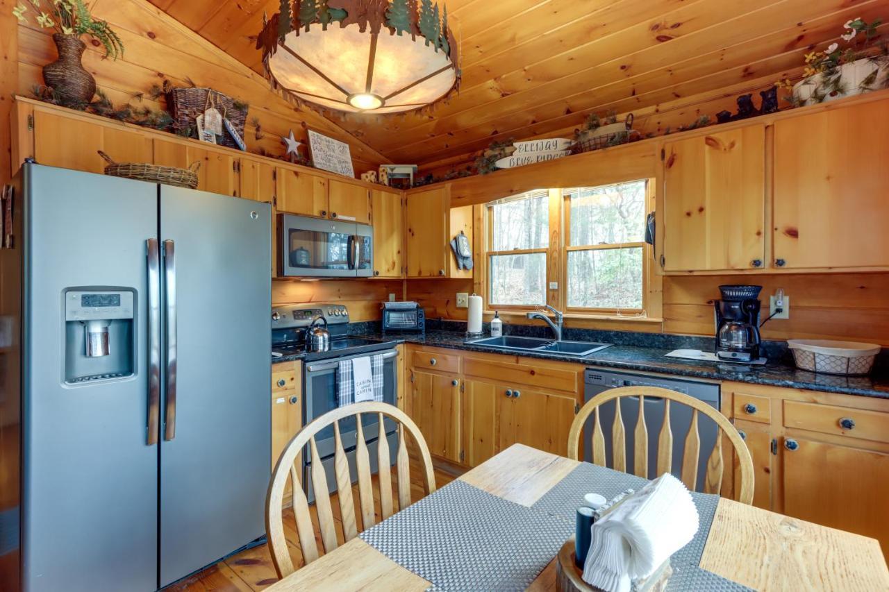 Blue Ridge Cozy Cabin In The Woods With Hot Tub! エクステリア 写真